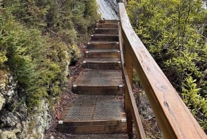 Cradle Mountain: Geführte Tagestour zum Dove Lake mit Mittagessen