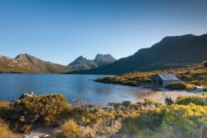 Cradle Mountain: Fully Guided Dove Lake Day Trip with Lunch