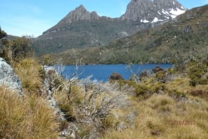 Cradle Mountain: Fully Guided Dove Lake Day Trip with Lunch