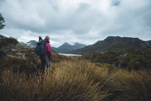 Cradle Mountain: Fully Guided Dove Lake Day Trip with Lunch