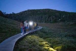 Avvistamento della fauna selvatica di Cradle Mountain dopo il tramonto