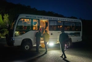 Avvistamento della fauna selvatica di Cradle Mountain dopo il tramonto