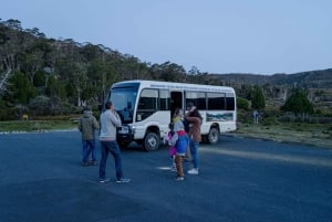 Avvistamento della fauna selvatica di Cradle Mountain dopo il tramonto