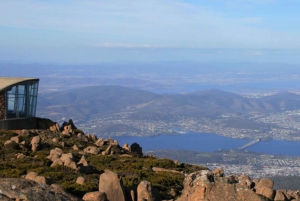 Day-Tour: Hobart, Mt Wellington & Bonorong Wildlife Park