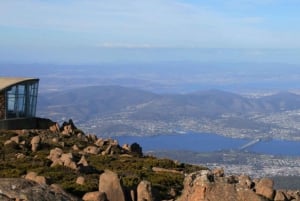 Hobart: Hobart, Richmond, & Bonorong Wildlife Sanctuary Tour