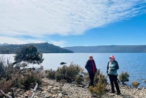 Tasmania: 6-Day Comfort Tour for Wilderness and Wildlife