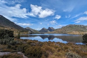 Tasmania: 6-Day Comfort Tour for Wilderness and Wildlife