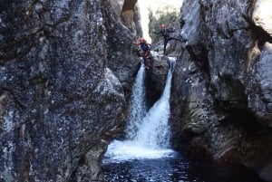 Dove Canyon - Full-Day Canyoning Tour at Cradle Mountain