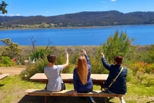 Hobart: Winery and Brewery Guided Tour with Over 30 Drinks