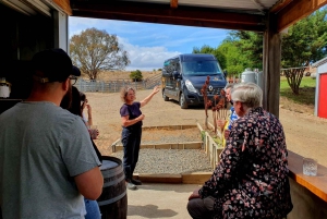 Hobart: Winery and Brewery Guided Tour with Over 30 Drinks