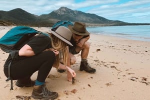 Freycinet: 5,5 uur wandeling met gids in een kleine groep + boottocht