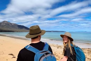 Freycinet: 5.5-Hr Small Group Guided Walking Experience