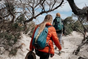 Freycinet: 5,5-timers guidet turopplevelse for små grupper