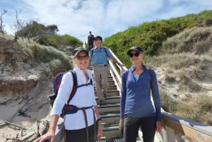Freycinet: begeleide wandelervaring van 5,5 uur met kleine groepen
