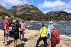 Freycinet: 5,5 timmars guidad vandringsupplevelse för små grupper