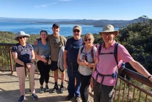 Freycinet: experiencia de caminata guiada en grupos pequeños de 5.5 horas