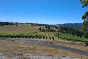 From Burnie: Tasting Trail Tour