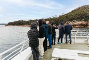 From Coles Bay: Wineglass Bay Cruise with Lunch