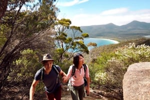 From Hobart: 4-Day Guided Freycinet National Park Walk