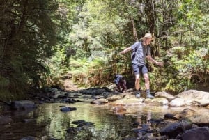Desde Hobart: Recorrido de 5 días por la Costa Oeste y Este de Tasmania