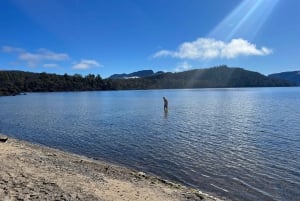Au départ de Hobart : circuit de 5 jours sur la côte ouest et est de la Tasmanie