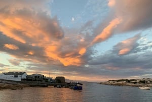 Au départ de Hobart : circuit de 5 jours sur la côte ouest et est de la Tasmanie