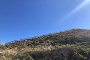 Da Hobart: Tour avventuroso di un giorno sull'isola di Bruny