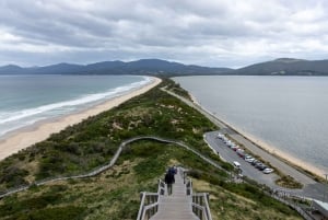 Da Hobart: Tour avventuroso di un giorno sull'isola di Bruny