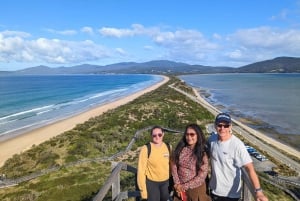 Fra Hobart: Bruny Island Adventure Day Tour