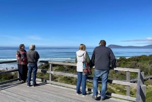 From Hobart: Bruny Island Adventure Day Tour