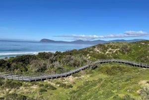 Från Hobart: Bruny Island äventyr dagstur