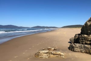 From Hobart: Bruny Island Nature and Produce Full-Day Tour