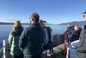 From Hobart: Bruny Island Nature and Produce Full-Day Tour