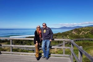 Hobartista: Bruny Islandin luonto- ja tuotantokierros koko päivän