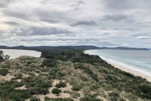 Desde Hobart: excursión de día completo a la naturaleza y los productos de Bruny Island