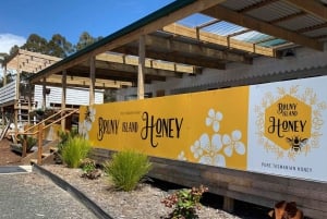 Hobartista: Bruny Islandin luonto- ja tuotantokierros koko päivän