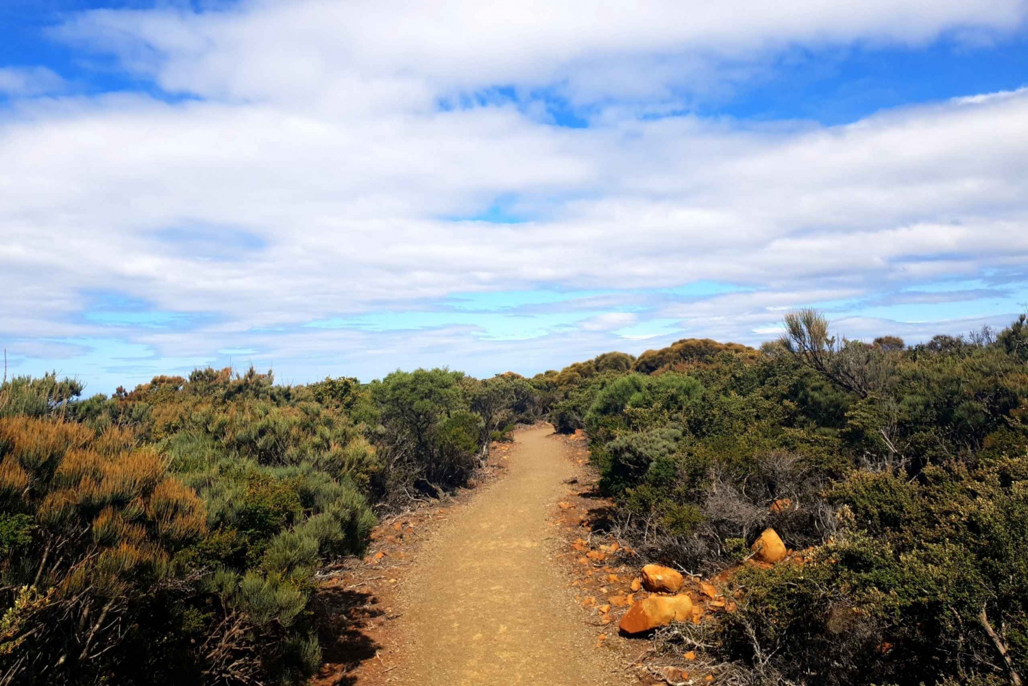 From Hobart: Cape Raoul Hiking Tour in Tasman National Park
