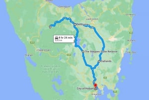 De Hobart: excursão de dia inteiro à Cradle Mountain