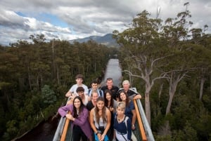 Hobart : Visite d'une jounée à Tahune Airwalk & Hastings Caves Active Tour