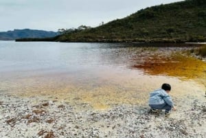 Hobartista: Gordon Dam ja Lake Pedder Wilderness -päiväretki