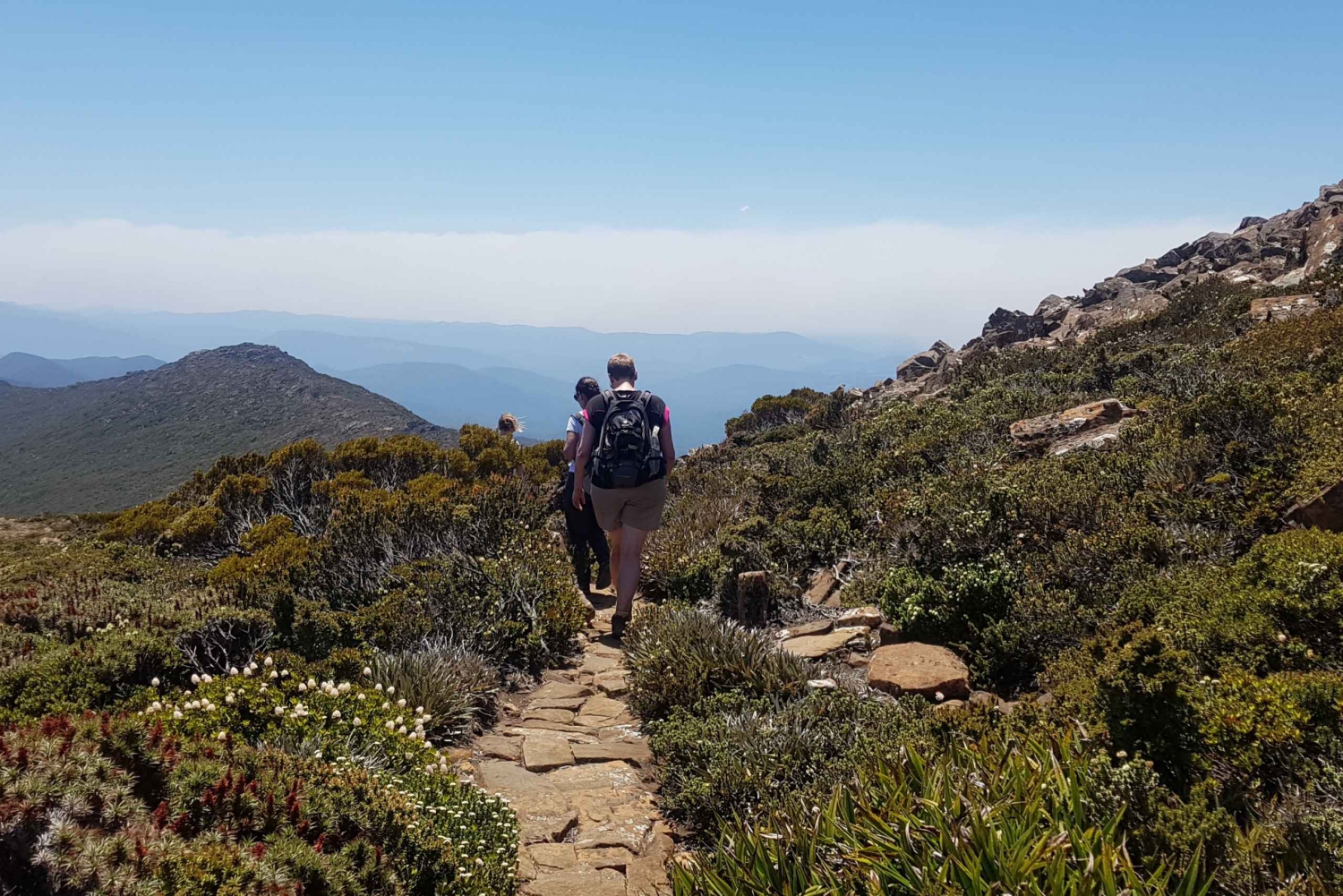 From Hobart: Hartz Mountain National Park Hiking Tour