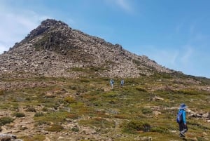 From Hobart: Hartz Mountain National Park Hiking Tour