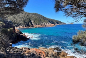 From Hobart: Iconic East Coast Day Trip to Wineglass Bay