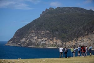 Hobart: Aktiv heldagstur til Maria Island nasjonalpark