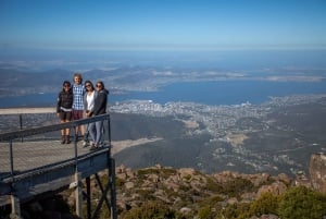 Fra Hobart: Mt. Field, Mt. Wellington og en dagstur til dyrelivet