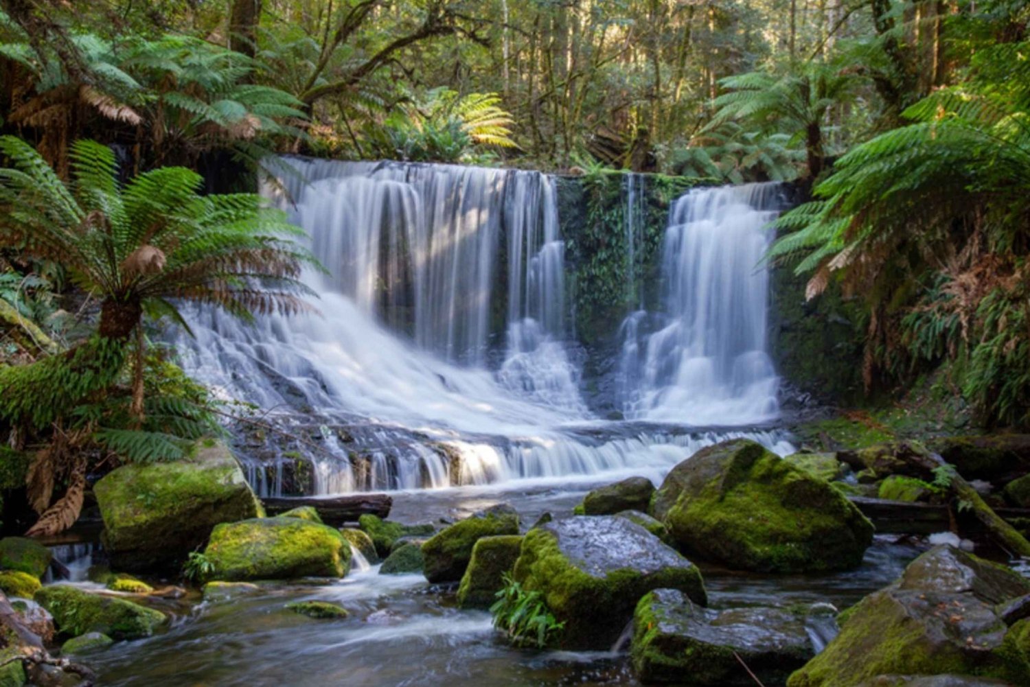 Z Hobart: Park Narodowy Mt. Field i Russell Falls