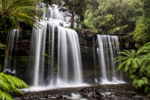 From Hobart: Mt. Field National Park and Russell Falls