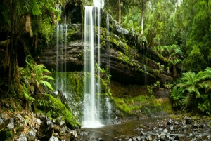 From Hobart: Mt. Field National Park and Russell Falls