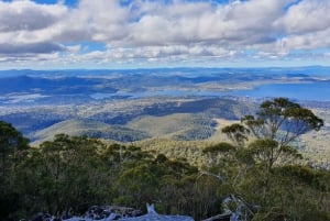 Från Hobart: Morgonpromenad i Mt Wellington