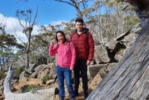 De Hobart: Excursão a pé pela manhã em Mt Wellington